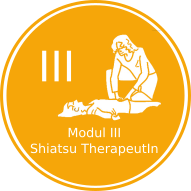 Phase III - Shiatsu TherapeutIn