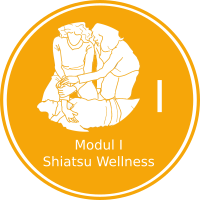 Shiatsu Phase I Basis